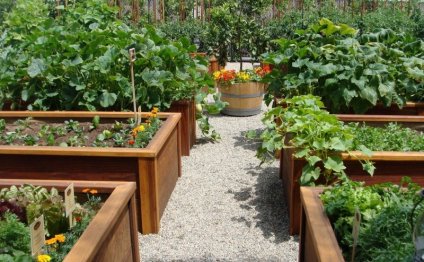 How To Make A Beautiful Garden