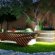 Landscape Design Ideas