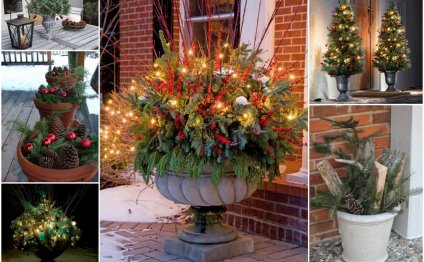 Dekor Of The Courtyard