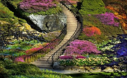 Nice Gardens
