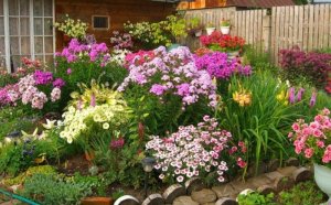 How To Make A Beautiful Garden