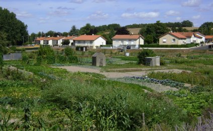 My Garden And The Garden Of The Photo